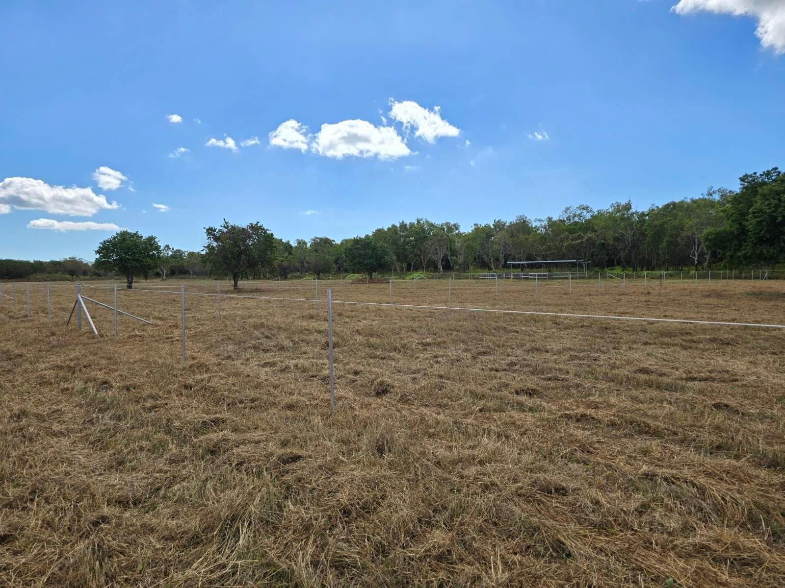Paddocks 2.JPG