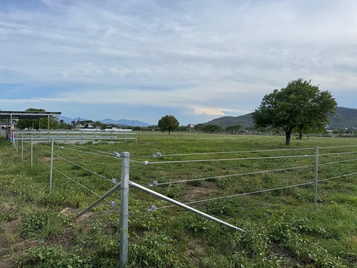 IMG_9452.jpeg