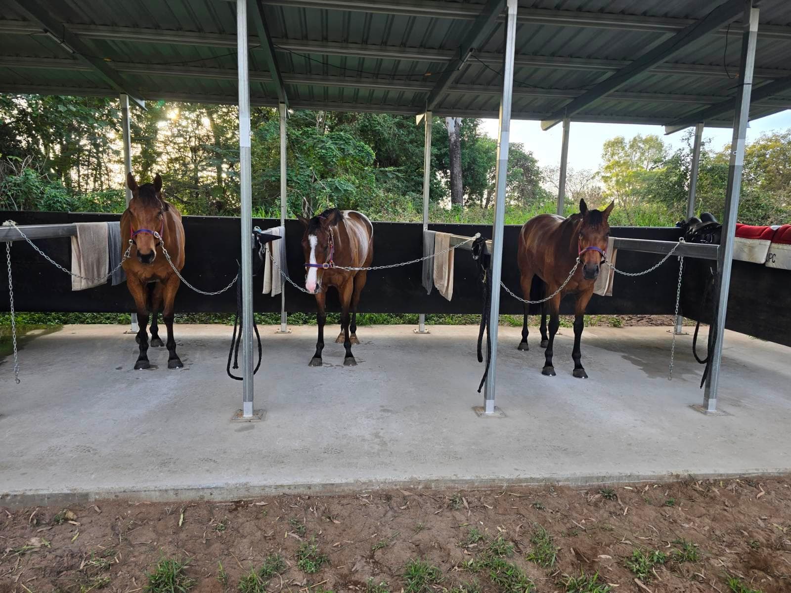 Bush Training Facilities.JPG