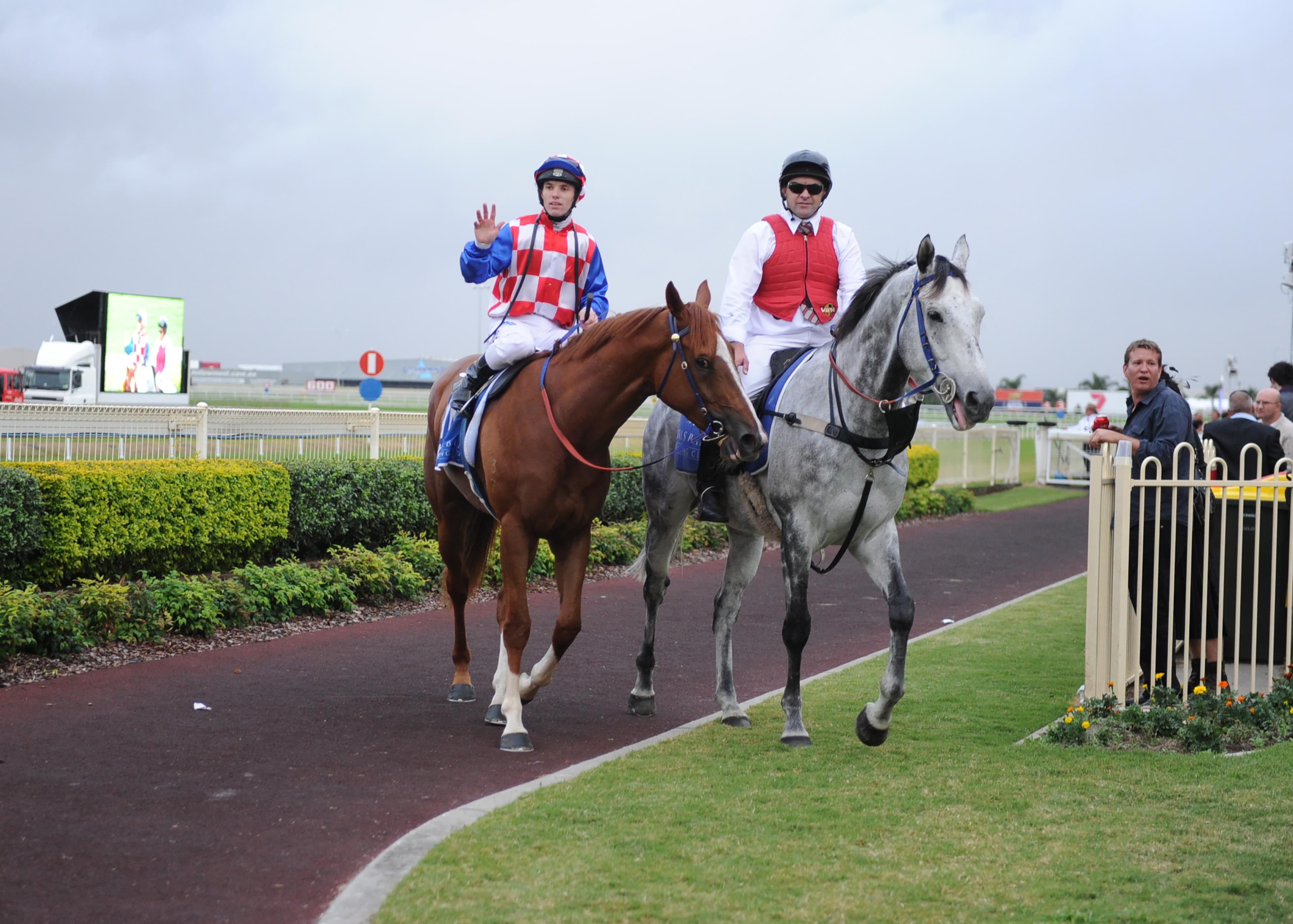 Falino_21-05-2011_Win_Doomben_8__Image 4861.JPG