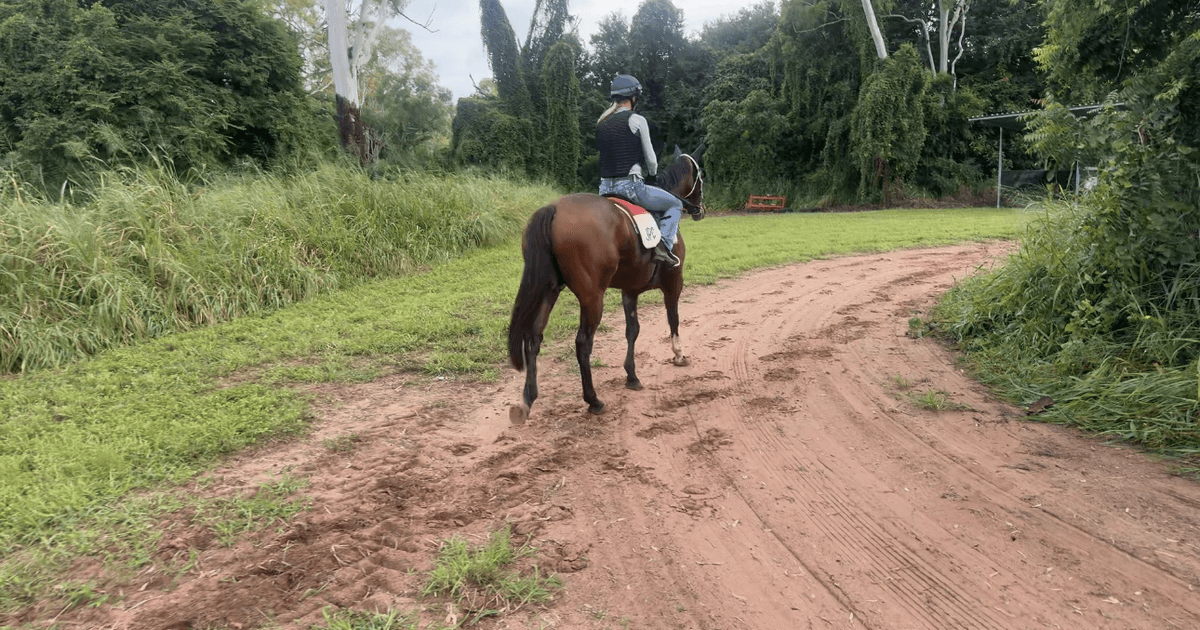 View recent photos 2.png