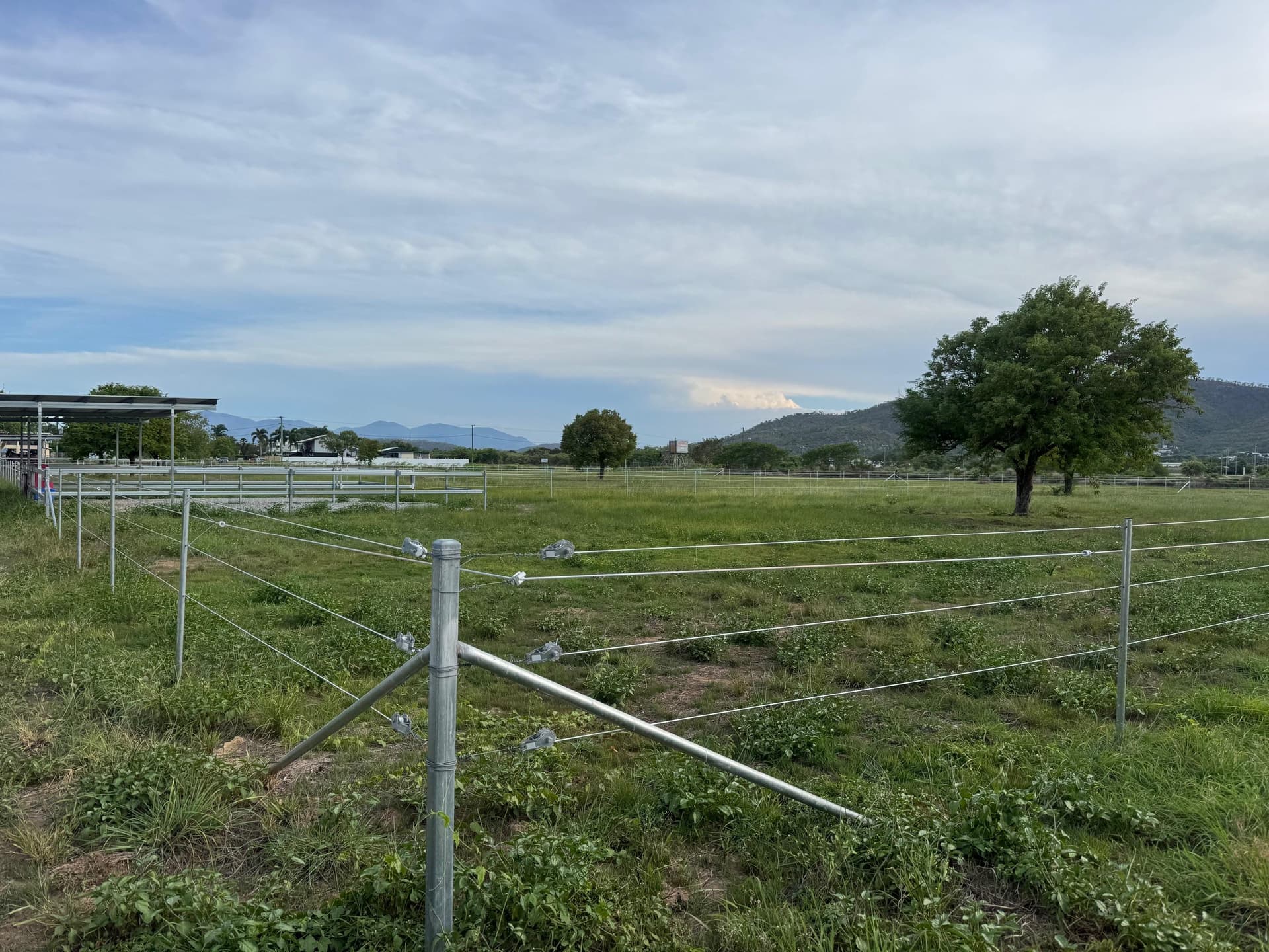 Jeff Caught Racing Stable Update