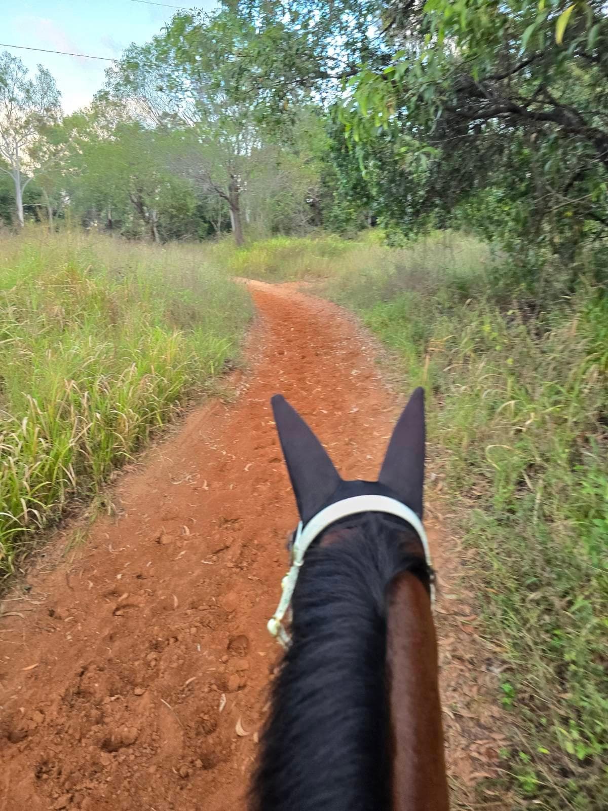1200m Bush Sand Track.JPG